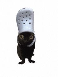 A preview of Surripacats